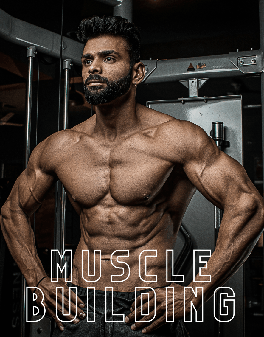 Muscle Gain